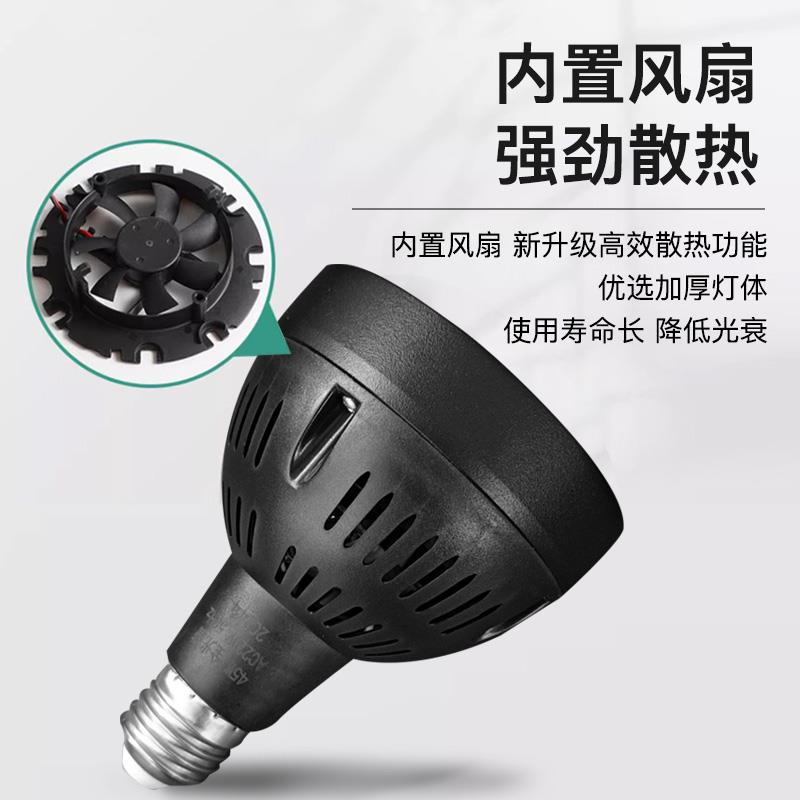 全光谱鱼缸爆藻灯泡兰寿泰狮专用鱼缸灯原生水草缸植物led补光灯
