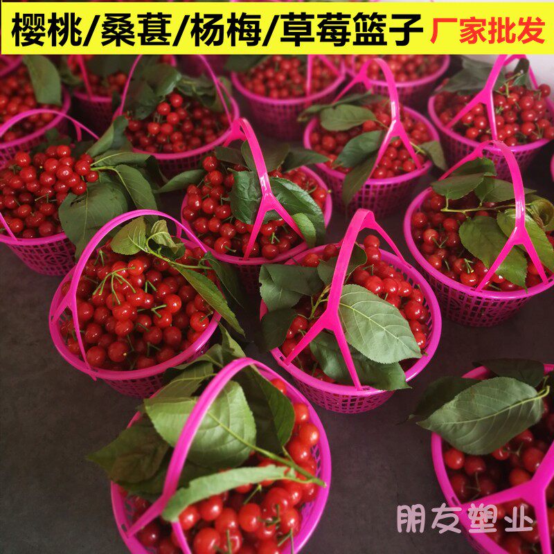 杨梅篮子塑料g圆篮1-6斤装草莓篮水果采摘圆篮子圆形塑料框杨梅框