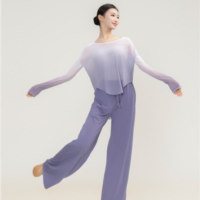 速发渐变出典古弹力纱衣身韵舞蹈练功服中国舞艺考上衣民族舞演舞
