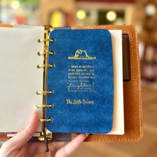 隔板真皮分隔内页小王子M5A8奇葩a6配小王子活页手账本手工DIY