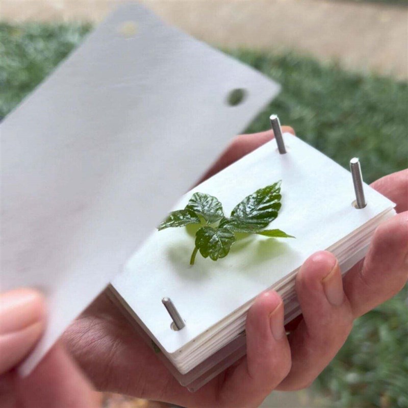 速发压花器压花板植物标本押花器干花手工材料包植物标本工具相框