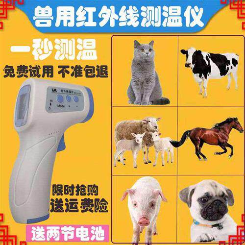 速发兽用体测枪猪用牛羊精温温仪高马度充电款体温计猫咪狗