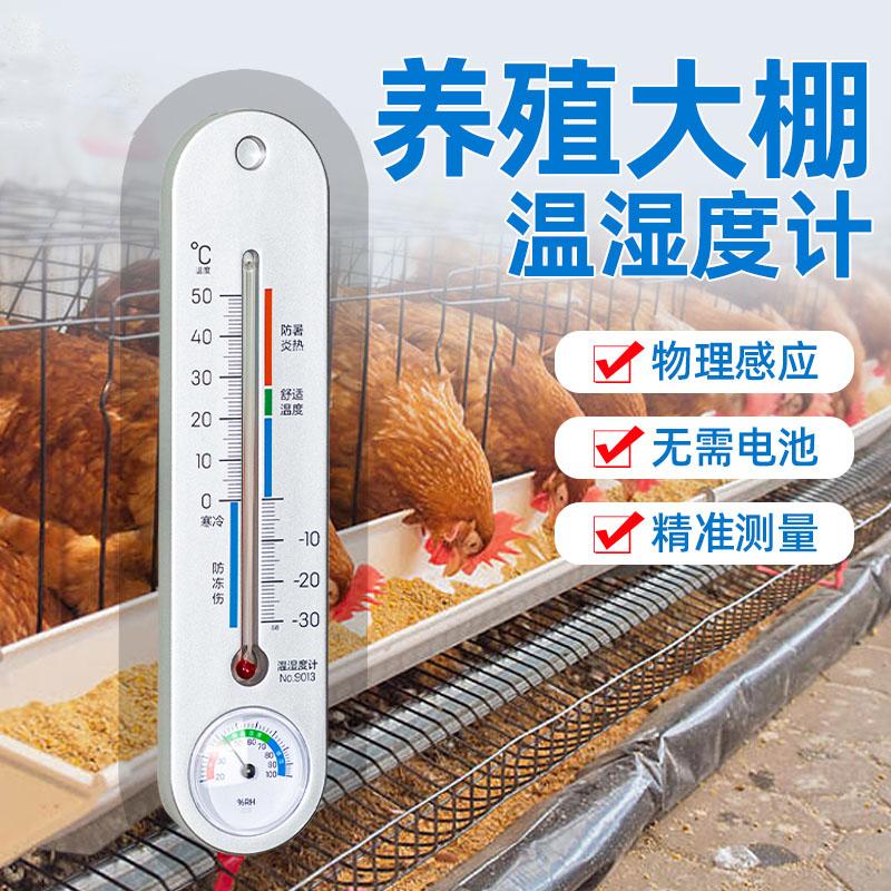 德国温度计大棚专用养殖种植干温湿度计室内家用精准高精度壁挂式
