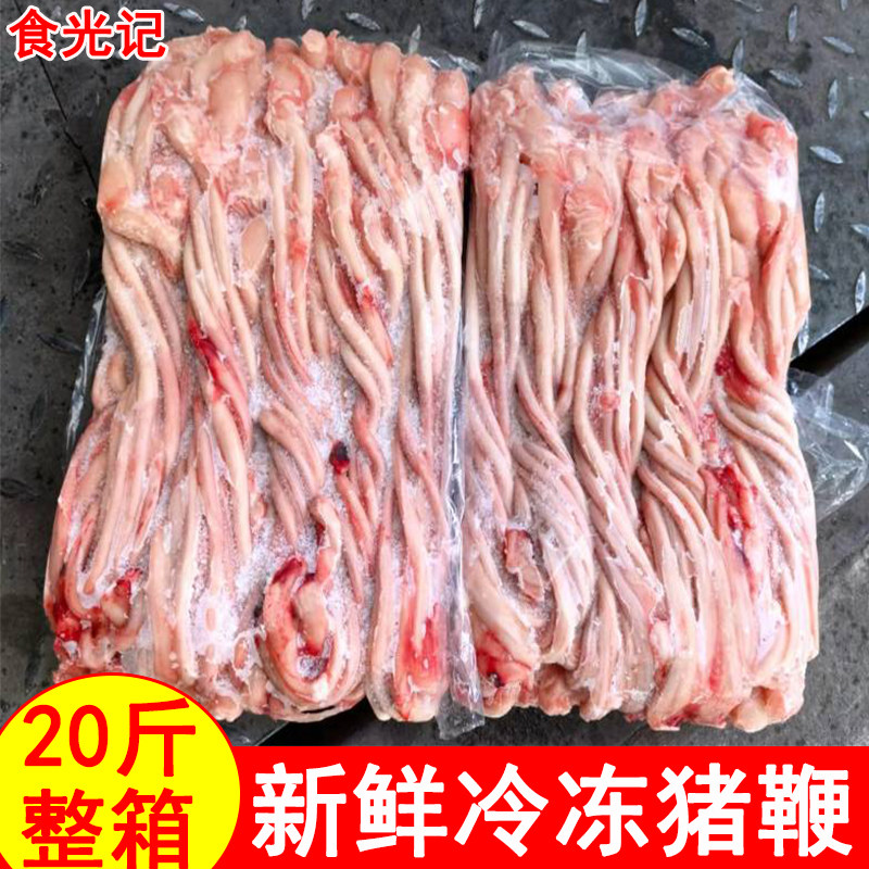 新鲜冷冻猪鞭生猪鞭猪小鞭猪小弟猪阴茎烧烤串串商用食材5斤20斤