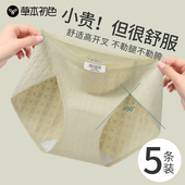 草本初色加长裆高开叉内裤 女士纯棉抗菌档不夹臀女生不勒腿三角裤