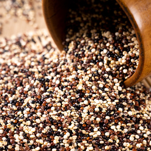 红白黑三色藜麦米南美进口非真空包装奎奴亚藜五谷杂粮粗粮龙芽米
