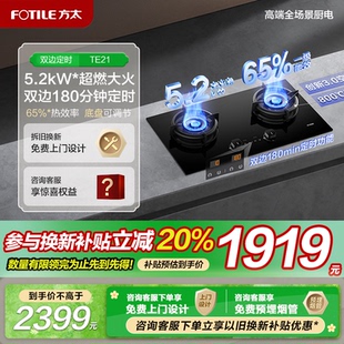 方太TE21燃气灶煤气灶定时灶天然气家用双灶台官方旗舰 一级