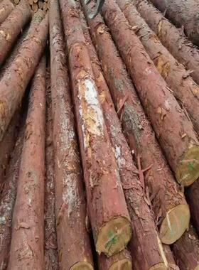 叶河松桩落全国应道打桩木UQQ松木桩防汛木桩杆4-12米落叶供松原