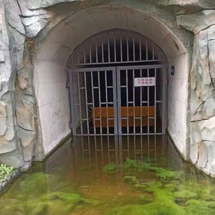 防洪L 液压防洪闸车库防洪挡板防水板挡水墙水动力电水动力全力式