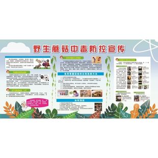 野生蘑菇中毒防控宣傳海報展板野生菌很美味謹防中毒墻貼墻紙KT板