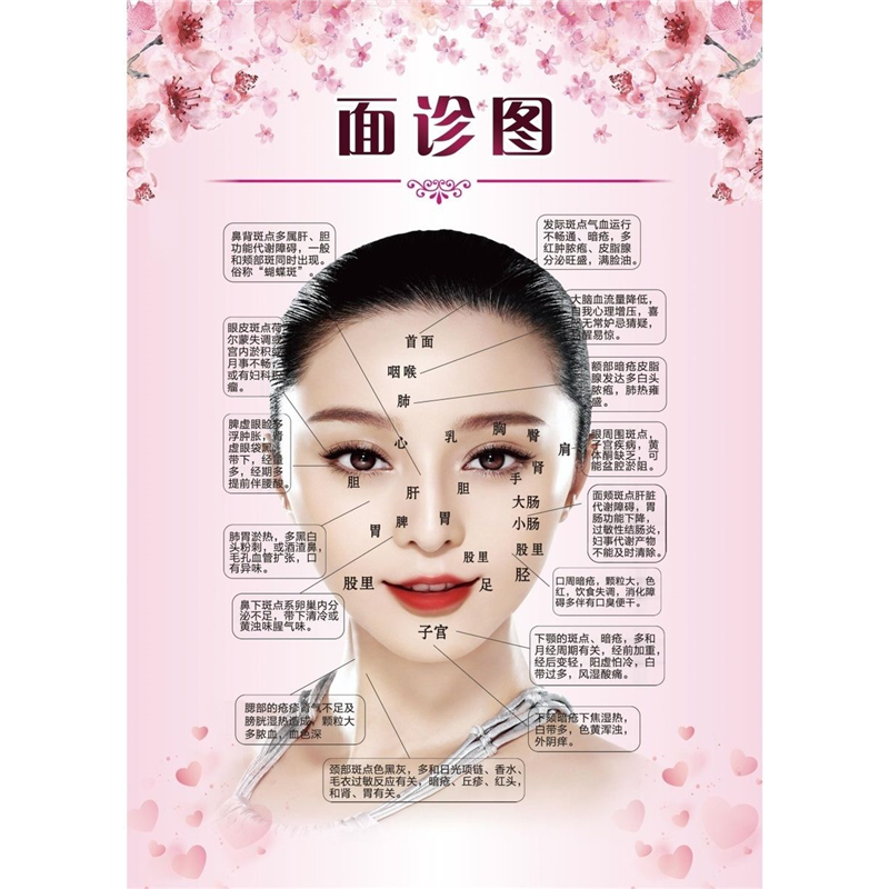 欧美雅洁面部诊断图海报展板面诊图墙贴墙纸装饰画KT板欧美雅洁面
