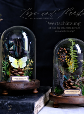 玻璃罩蝴蝶标本植物标本干花摆件昆虫家居软装陈列礼物生态微景观