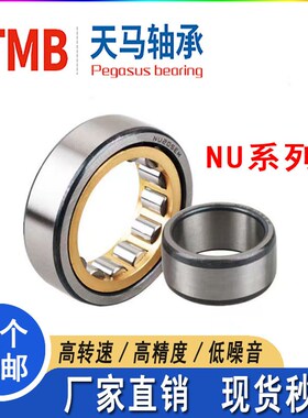 TMB天马圆柱滚子轴承NU NJ2228 2230 2232 2234 2236 2238 2240EM