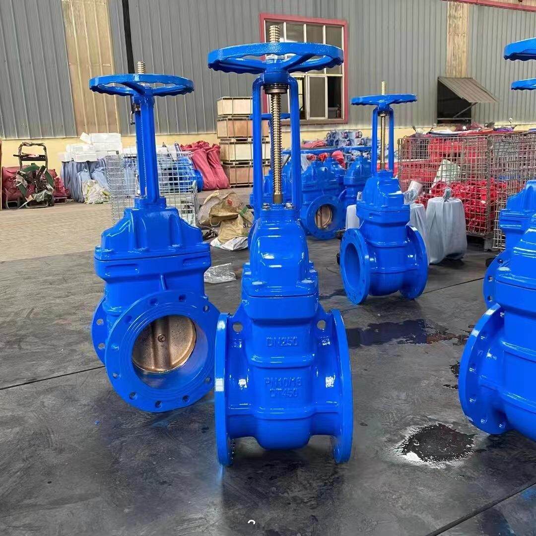 z41t硬密封铜芯闸阀z41t-16q沟槽法兰明杆暗杆手动电动人防消防自