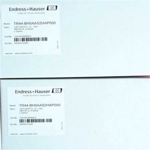 E+H TR44-BH5AAS2HAP000 恩德斯豪斯全新~议价