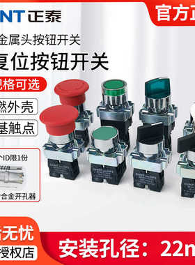 按钮开关NP2-BA31 BC一常开旋钮BD21急停BS542自复位带灯BW33