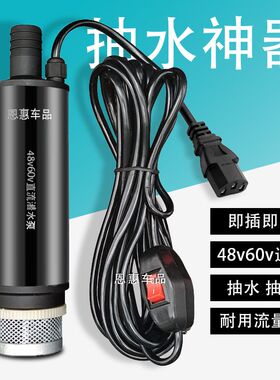 直流抽水泵浇水浇菜12v24v48v60v农用船用电动抽水机电动车抽水器
