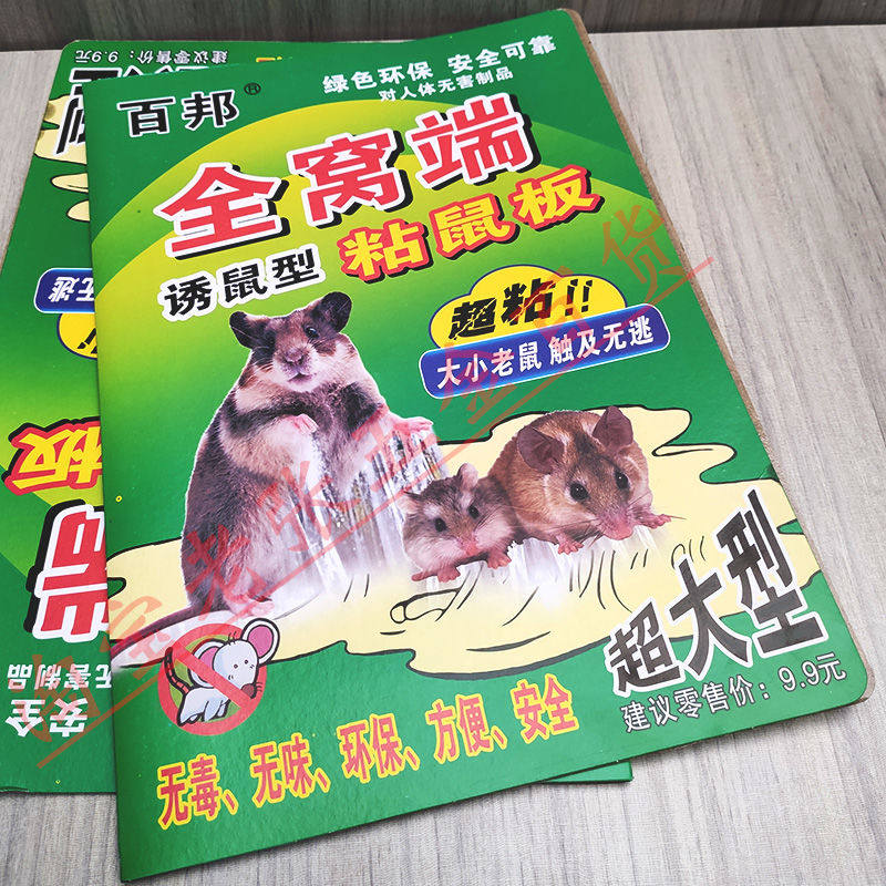 粘鼠板强力胶粘大老鼠超大型纸张粘耗子神器百邦诱鼠型老鼠贴大号