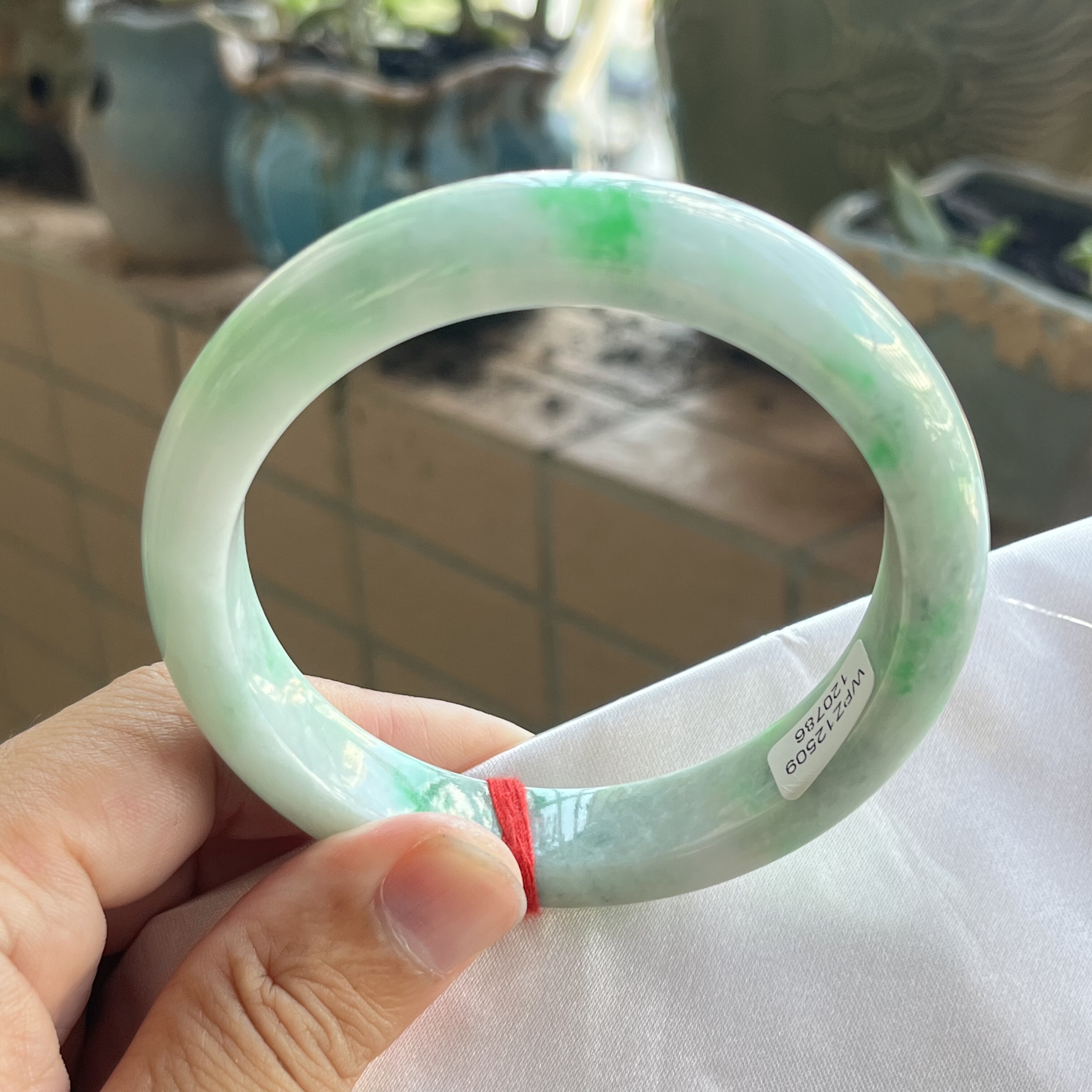 0786天然A货翡翠61.8-12.7-8.8阳绿玉手镯完美正品保真