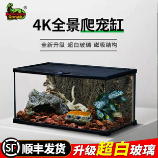 BG鬃狮蜥蜴睫角守宫瘤尾爬宠饲养箱宠物蛇角蛙生态造景桌面缸