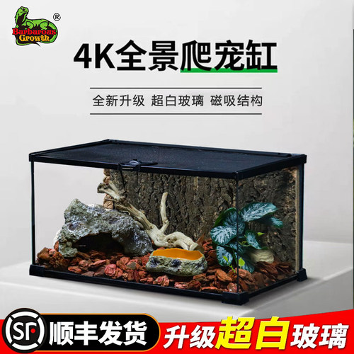 BG生态雨林造景桌面缸