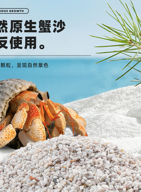 寄居蟹相手蟹专用沙天然蟹沙垫材干净造景底沙菲律宾珊瑚沙贝壳砂