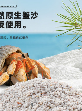 寄居蟹专用蟹沙纯天然