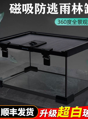 BG爬宠饲养箱玻璃生态雨林造景睫角守宫蜥蜴蜘蛛宠物蛇爬虫饲养盒