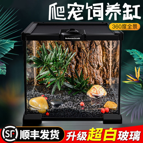 BG角蛙专用饲养箱生态雨林造景霸王黄金南美钟角蛙玻璃爬宠饲养缸 - 封面