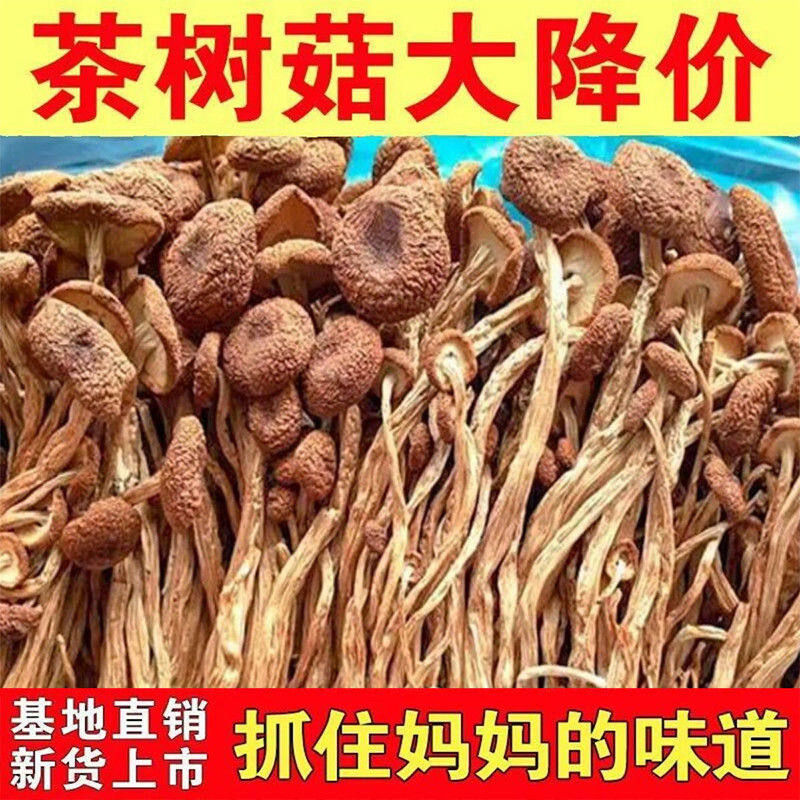 古田茶树菇干货农家特产菌菇袋装
