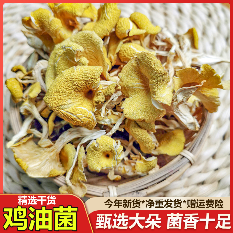 鸡油菌干货500克新鲜榆黄蘑干菇