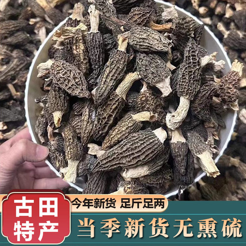 羊肚菌干货净重古田特产净重菌菇