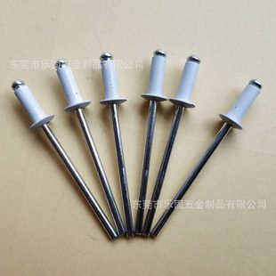 厂促源头直供开口型白色抽芯铆钉白色抽芯拉钉白色拉铆钉