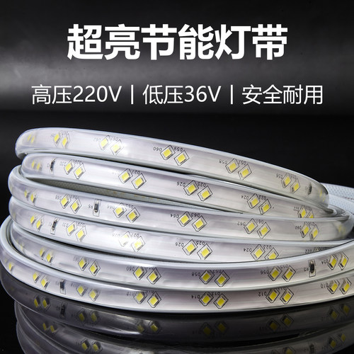 北光 LED户外防水灯带IP65高亮白光6000K室内吊顶高压灯条低压36V