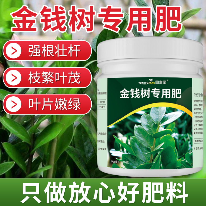 速发金钱肥肥料树花肥落叶家用发财树盆栽绿植福室内复合肥幸物树