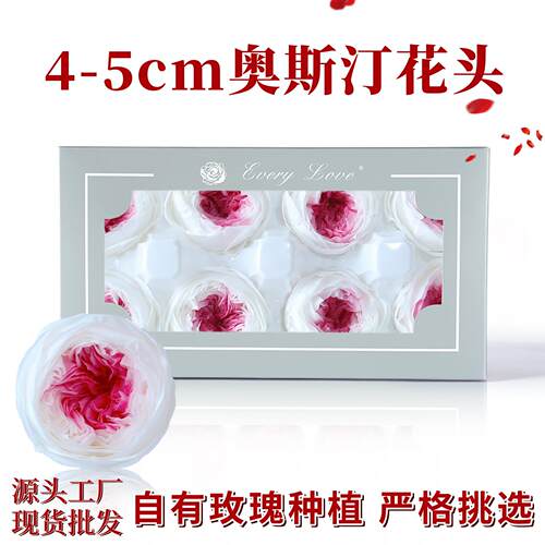 永生花玫瑰花奥斯汀8朵装高级感礼品diy材料干花巧克力泡泡