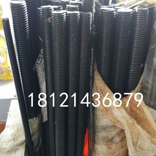 M22 M30 M10 M16 M18 M14 M12 M24 8.8级黑色丝杆 M20