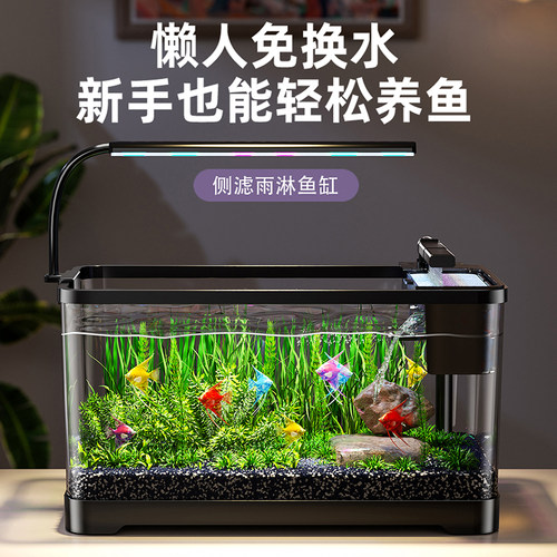 桌面小型侧滤免换水带灯生态缸