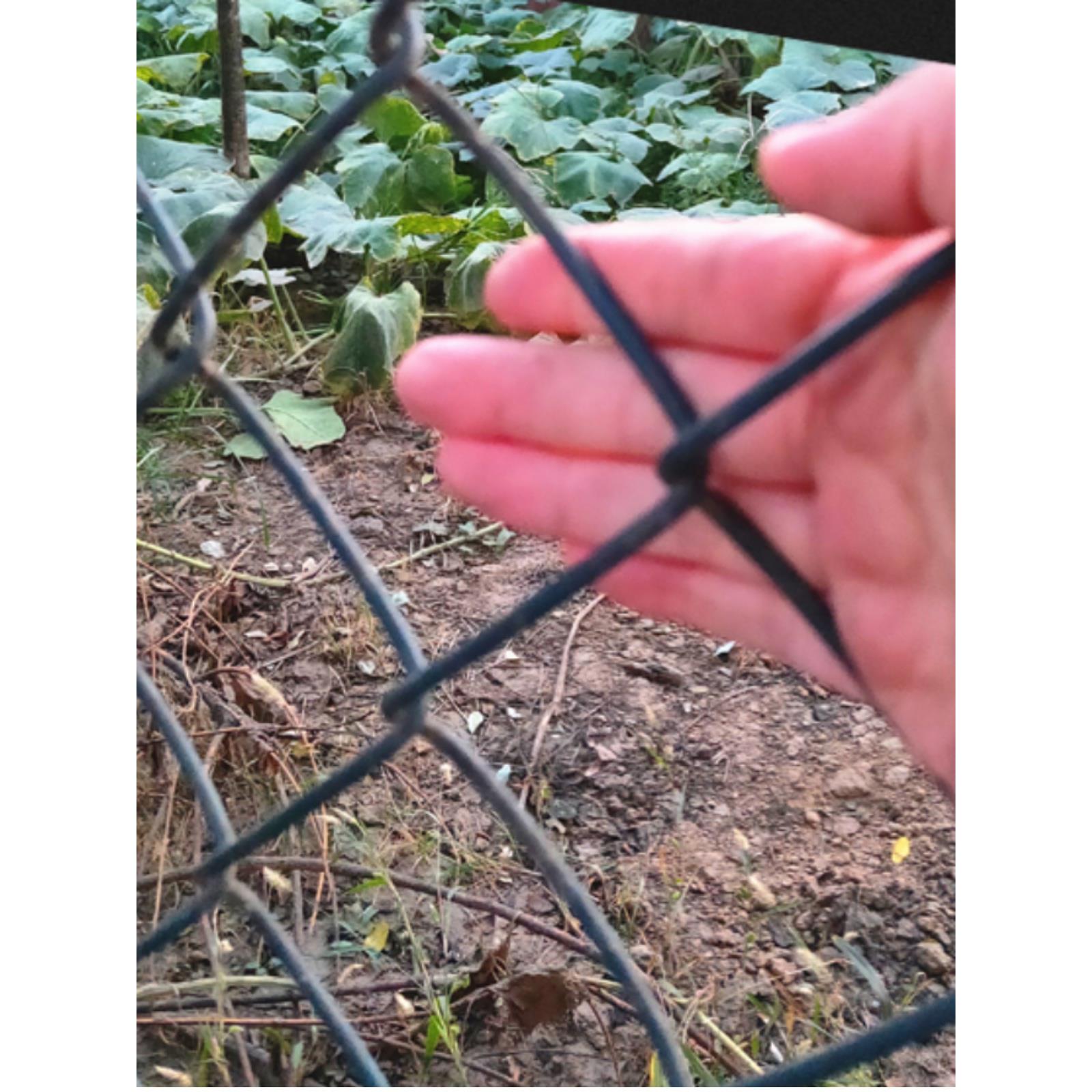 包塑勾花网球场体育场围栏网养鸡鸭羊养狗家用护栏网铁丝网养殖网