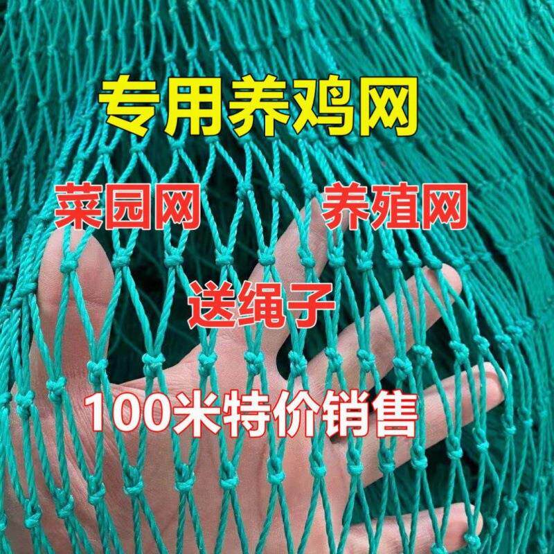 养鸡专用网绿网围栏鸡舍户外围栏鸡鸭鹅围养护栏关鸡鸭的网尼龙网