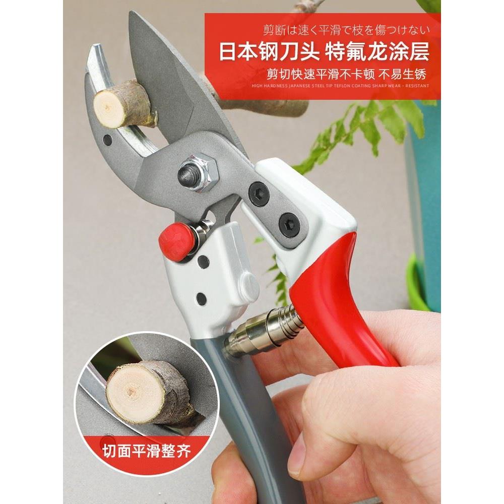 日本原装进口园艺剪修枝剪果园树枝专用剪刀花艺剪树剪花花木果树