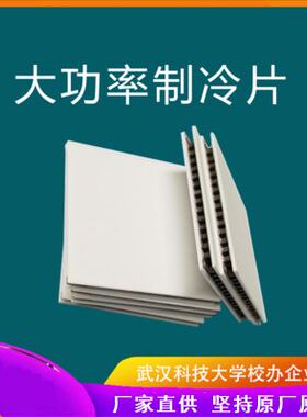 半导体制冷片大功率制冷片PTEC大功率降温芯片半导体加热制冷片