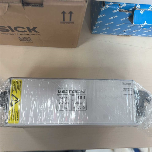 (议价)WETRON分段控制器TBE5.31-V2-R4，（