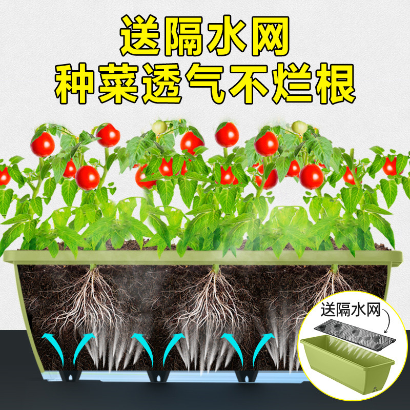 原起点长方形草莓种植箱塑料花盆种植盆阳台种菜盆种菜专用箱花槽图片