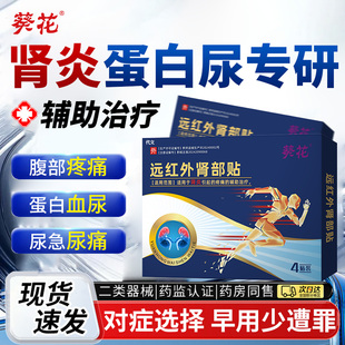 肾炎蛋白尿可搭膏药贴慢性肾病肾小球炎症专缓解水肿血尿用中成EH