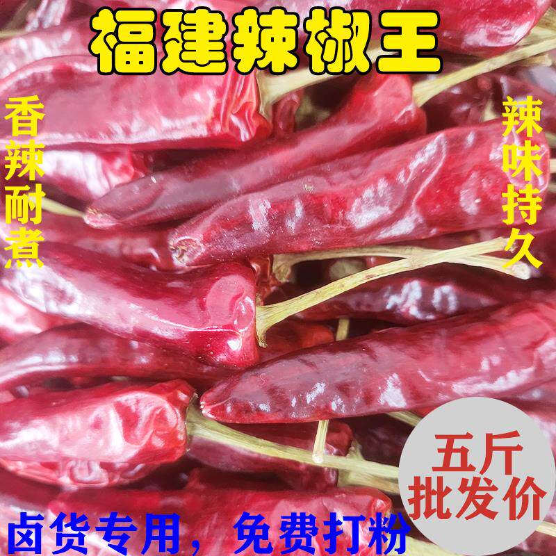 香辣型福建辣椒王古田朝天椒卤菜现捞鸭脖耐煮专用500g干辣椒特辣