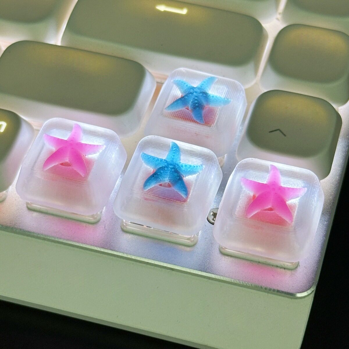 滴胶透光海星十字轴机械键盘键帽