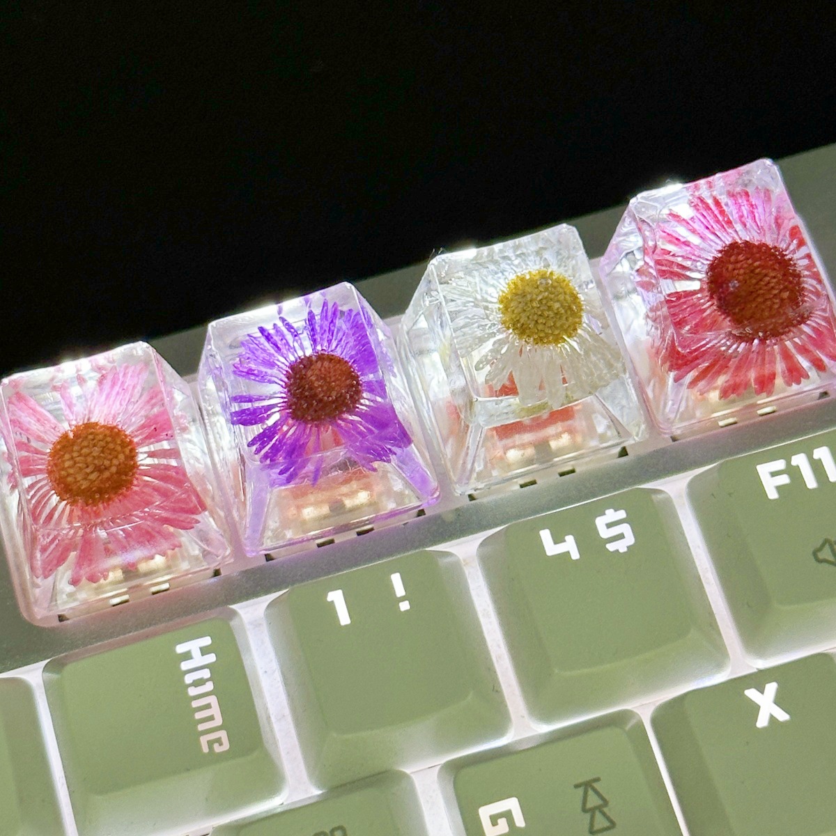 DIY滴胶高透针菊干花键帽