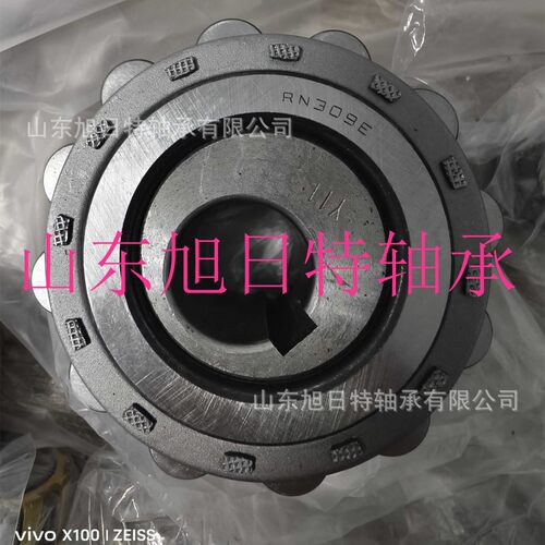 RN309E-11Y  XRT减速机轴承   XRT减速机整体偏心轴承