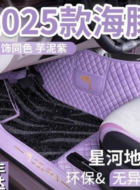 专用2025款比亚2迪海时豚脚垫全包围205荣耀版4H37Z928尚版汽车耐